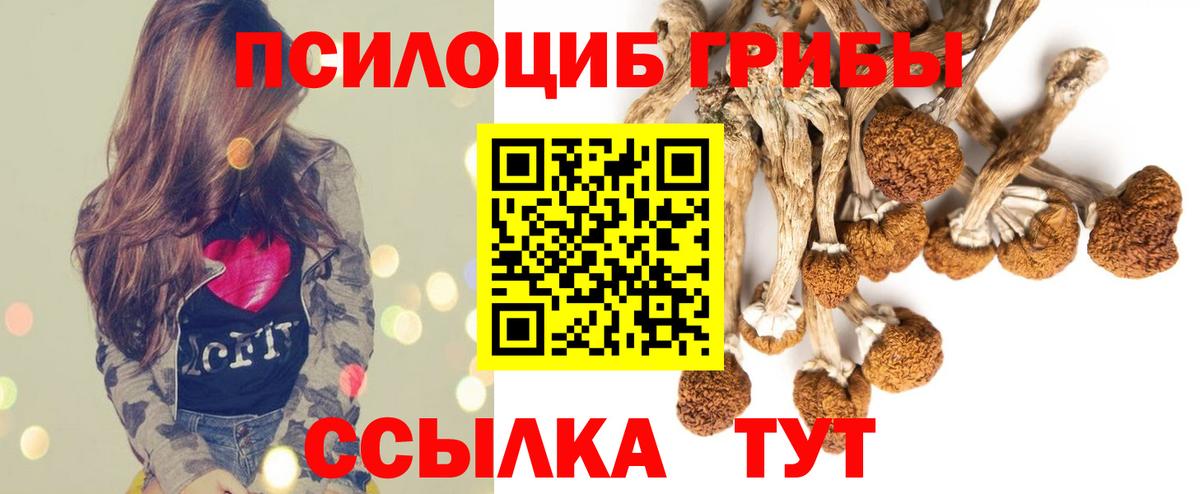 Галлюциногенные грибы Psilocybine cubensis Ухта